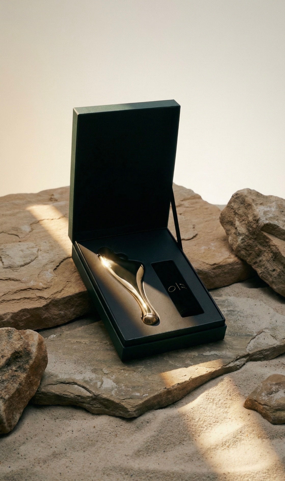 GINTO Face Sculpting Tool